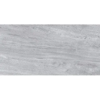 ksa/images/productimages/riyadh-ceramics/ceramic-tile/palermo-outdoor-ceramics-floor-tile-gray-450-x-900-mm.webp