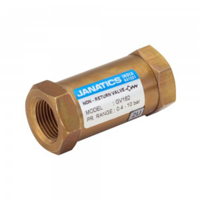 ksa/images/productimages/rj-hydraulics/check-valve/janatics-non-return-valve-gv160-0-4-to-10-bar.webp