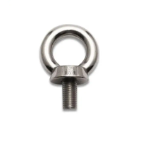 ksa/images/productimages/safe-and-secure-trading-company/eye-bolt/stainless-steel-eye-bolt.webp