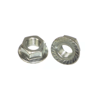 ksa/images/productimages/salaba-fasteners/flange-nut/hexagon-flange-nuts-with-teeth.webp