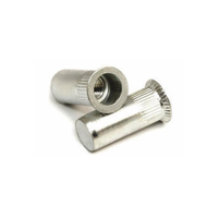 ksa/images/productimages/salaba-fasteners/rivet-nut/blind-rivet-nuts-with-cylindrical-head-and-knurle.webp
