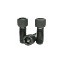 ksa/images/productimages/salaba-fasteners/socket-screw/hexagonal-socket-head-cap-screw.webp