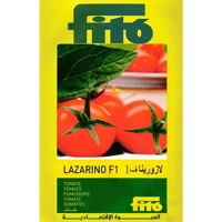 ksa/images/productimages/salem-al-humaidi-and-partners-trading-company/cherry-tomato-seed/fito-lazurina-f-1-cherry-tomatoes-seeds-50-seeds.webp