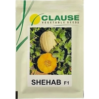 ksa/images/productimages/salem-al-humaidi-and-partners-trading-company/melon-seed/hm-clause-f1-shahab-melon-seeds-1000-seeds.webp