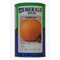 ksa/images/productimages/salem-al-humaidi-and-partners-trading-company/pumpkin-seed/emerald-pumpkin-american-seeds-400-g-can.webp