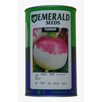 ksa/images/productimages/salem-al-humaidi-and-partners-trading-company/turnip-seed/emerald-turnip-white-globe-seeds-400-g-can.webp