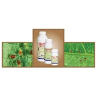 ksa/images/productimages/saudi-delta-company-for-chemical-industries/acaricide/hexyron-100-ec-acaricide.webp
