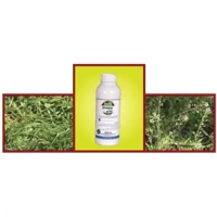 ksa/images/productimages/saudi-delta-company-for-chemical-industries/insecticide/imapyr-100-sl-herbicide.webp
