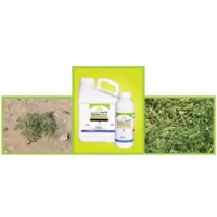 ksa/images/productimages/saudi-delta-company-for-chemical-industries/weed-killer/glystop-480-sl-herbicide.webp
