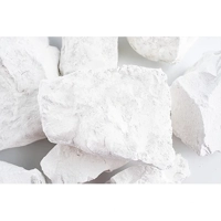 ksa/images/productimages/saudi-lime-industries-company/calcium-oxide/quicklime-cao-1100-to-1300-degree-c.webp