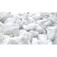 ksa/images/productimages/saudi-lime-industries-company/dololime/dololime-ca0-mg0-900-to-1100-degree-c.webp