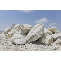 ksa/images/productimages/saudi-lime-industries-company/limestone/limestone-caco3.webp