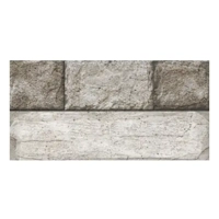 ksa/images/productimages/sokhoor-al-arab/porcelain-tile/stone-porcelain-wall-tile-38002-300-x-600-mm.webp