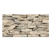 ksa/images/productimages/sokhoor-al-arab/porcelain-tile/stone-porcelain-wall-tile-5702-300-x-600-mm.webp