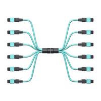 ksa/images/productimages/spectrate/patch-cord/mtp-to-e2000-optic-patch-cable.webp