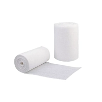 ksa/images/productimages/technical-factory-for-plastering-and-premixes-company-ltd/geotextile/geotextil-2-2-x-100-mm-120-g-m2.webp