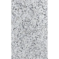 ksa/images/productimages/union-source-marble-and-granite-(umg-factory)/granite/bianco-granite.webp