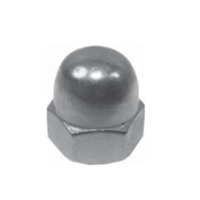 ksa/images/productimages/united-eagle-trading-company/cap-nut/hex-cap-nut-din-1587-stainless-steel-2065-3-1000-pcs.webp