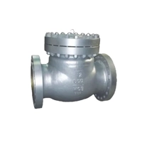 ksa/images/productimages/valves-technical-trading-est./check-valve/check-valve-nrv.webp