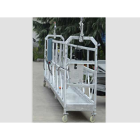 ksa/images/productimages/world-express-contracting-equipment-rental-and-transportion-company./suspended-platform/zlp300-suspension-platform-300-kg.webp