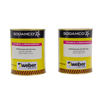 uae/images/fepy/epoxy/saint-gobain-weber-epo-412-cry-plus-1kg-epoxy-patching-bonding-paste.webp