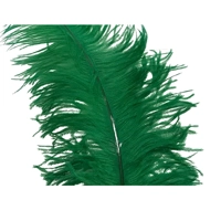 uae/images/productimages/abdul-razzaq-mohiddin-abdulla-trading-establishment/fabric--feather/mcn008l-ostrich-feather-large-5pc-bag-greenj06.webp