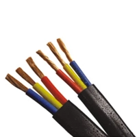 uae/images/productimages/abu-dhabi-cable-factory/building-cable/pvc-insulated-and-pvc-sheathed-single-core-321.webp