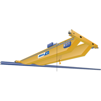 uae/images/productimages/ace-crane-systems-llc/overhead-crane/double-girder-eot-cranes.webp