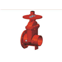 uae/images/productimages/aeon-international-gulf-llc/gate-valve/nrs-resilient-seated-gate-valve-flanged-grooved-ends.webp