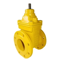 uae/images/productimages/aeon-international-gulf-llc/gate-valve/resilient-seated-gate-valve-type-a.webp
