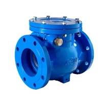 uae/images/productimages/aeon-international-gulf-llc/swing-check-valve/swing-check-valve.webp