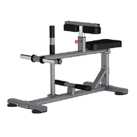 uae/images/productimages/afton-fitness/calf-raise-machine/seated-calf-raise-dr011-49-kg.webp