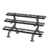 uae/images/productimages/afton-fitness/dumbbells-rack/dumbell-rack-dr027b.webp