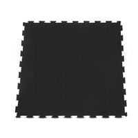 uae/images/productimages/afton-fitness/rubber-floor-tile/rubber-gym-interlocking-2-kg.webp