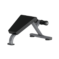 uae/images/productimages/afton-fitness/upper-body-resistance-machine/web-board-dr009.webp