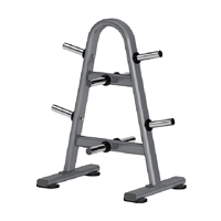 uae/images/productimages/afton-fitness/weight-plate/weight-plate-tree-dr021-20-kg.webp