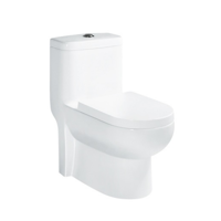 uae/images/productimages/agile-stile-trading-llc/water-closet/washdown-one-piece-toilet-305.webp