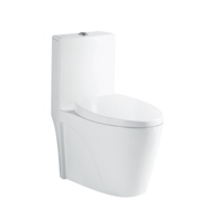 uae/images/productimages/agile-stile-trading-llc/water-closet/washdown-one-piece-toilet-8001.webp