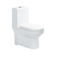 uae/images/productimages/agile-stile-trading-llc/water-closet/washdown-one-piece-toilet-8010.webp