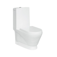 uae/images/productimages/agile-stile-trading-llc/water-closet/washdown-one-piece-toilet-8019.webp