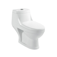 uae/images/productimages/agile-stile-trading-llc/water-closet/washdown-one-piece-toilet-8023.webp