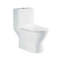 uae/images/productimages/agile-stile-trading-llc/water-closet/washdown-one-piece-toilet-880.webp