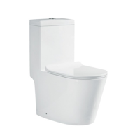 uae/images/productimages/agile-stile-trading-llc/water-closet/washdown-one-piece-toilet-881.webp