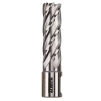 uae/images/productimages/al-badr-al-tamam-hardware-trading/core-drill-bit/2-in-annular-cutters-dwac02011.webp