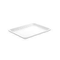 uae/images/productimages/al-bayader-international-dmcc/disposable-foam-tray/foam-tray-320-x-235-x-25mm-white.webp