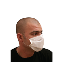 uae/images/productimages/al-bayader-international-dmcc/face-mask/2-ply-paper-mask-white.webp