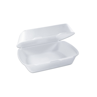 uae/images/productimages/al-bayader-international-dmcc/food-storage-box/foam-lunchbo-x-w-hinge-lid-240-x-200-x-90mm-white.webp