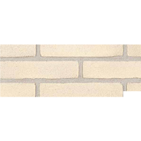 uae/images/productimages/al-fajer-trading-llc-(building-materials-division)/clay-brick/giallo-chiaro.webp