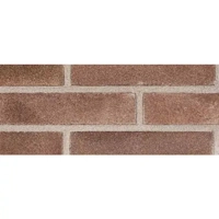 uae/images/productimages/al-fajer-trading-llc-(building-materials-division)/clay-brick/moro-bz.webp