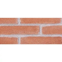 uae/images/productimages/al-fajer-trading-llc-(building-materials-division)/clay-brick/rosso.webp